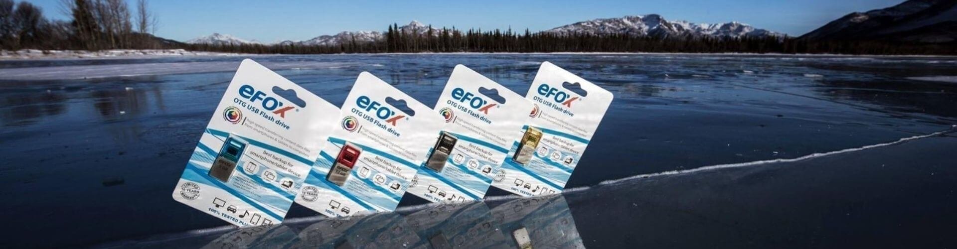 eFOX memory cards